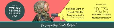 Email Signature - Fundraiser